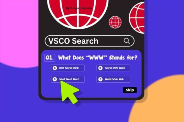 VSCO Search Feature